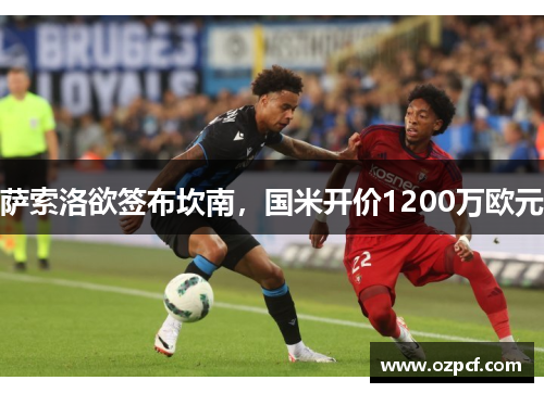 萨索洛欲签布坎南，国米开价1200万欧元